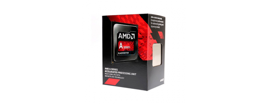 Socket AMD FM2+